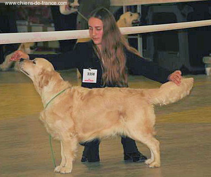 U sing like n'music of Glen Sheallag - 1° Excellent