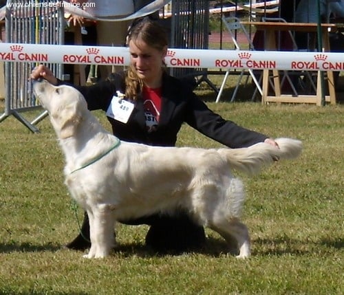 Beautiful love music De la Seigneurie des Vignes - 2eme Excellent Classe ouverte