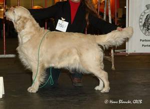 U sing like n'music of Glen Sheallag - 1er Excellent Classe Travail