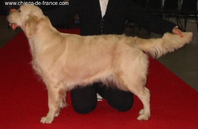 U sing like n'music of Glen Sheallag - 2eme Excellent