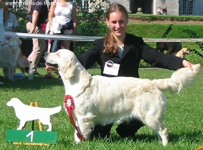 U sing like n'music of Glen Sheallag - 1er Exc RCACS