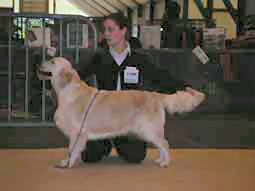 U sing like n'music of Glen Sheallag - 3eme Excellent