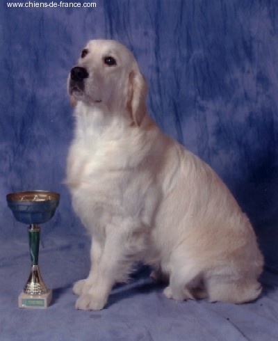 U sing like n'music of Glen Sheallag - 2eme Excellent Classe Jeune