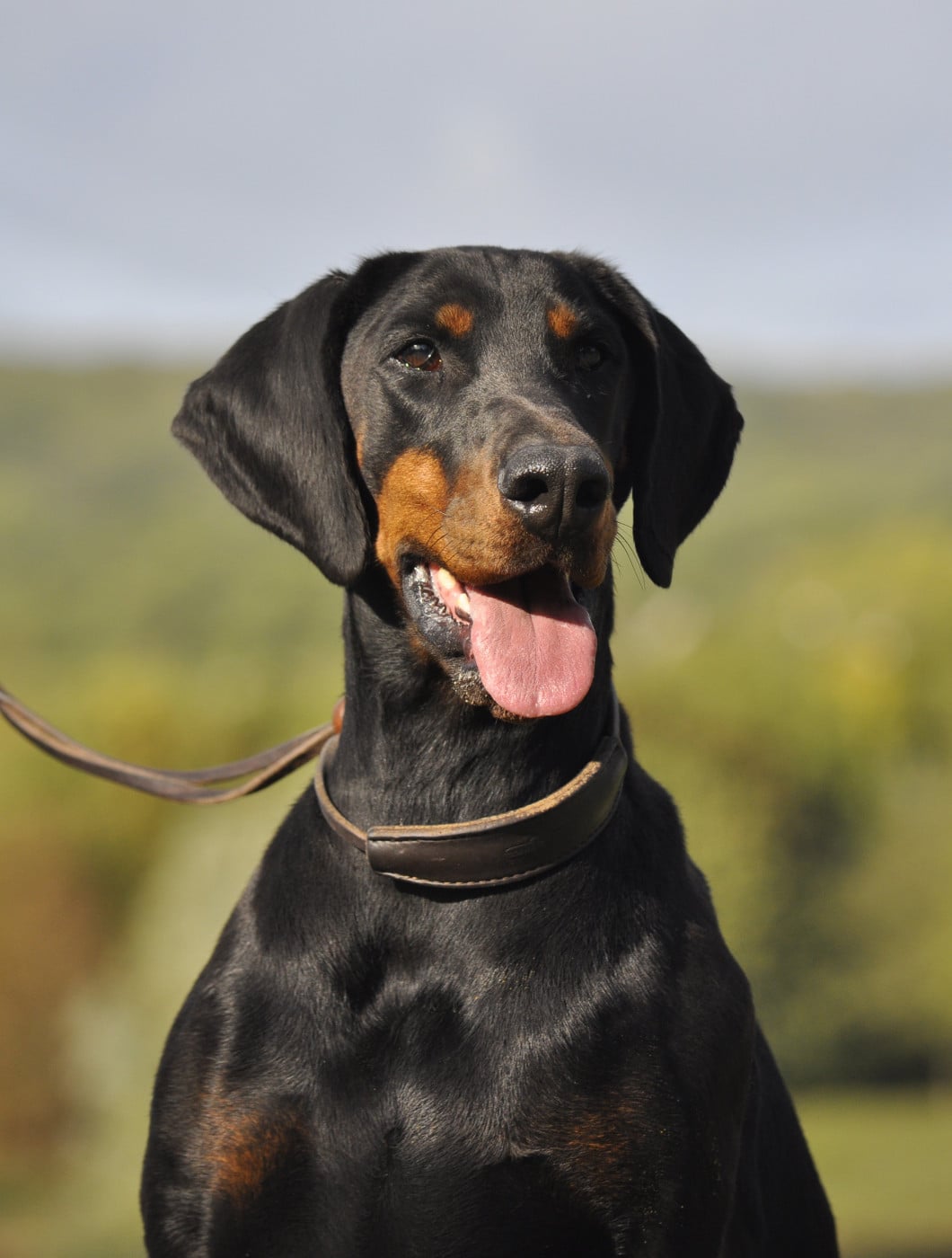 T'Kira capax infiniti