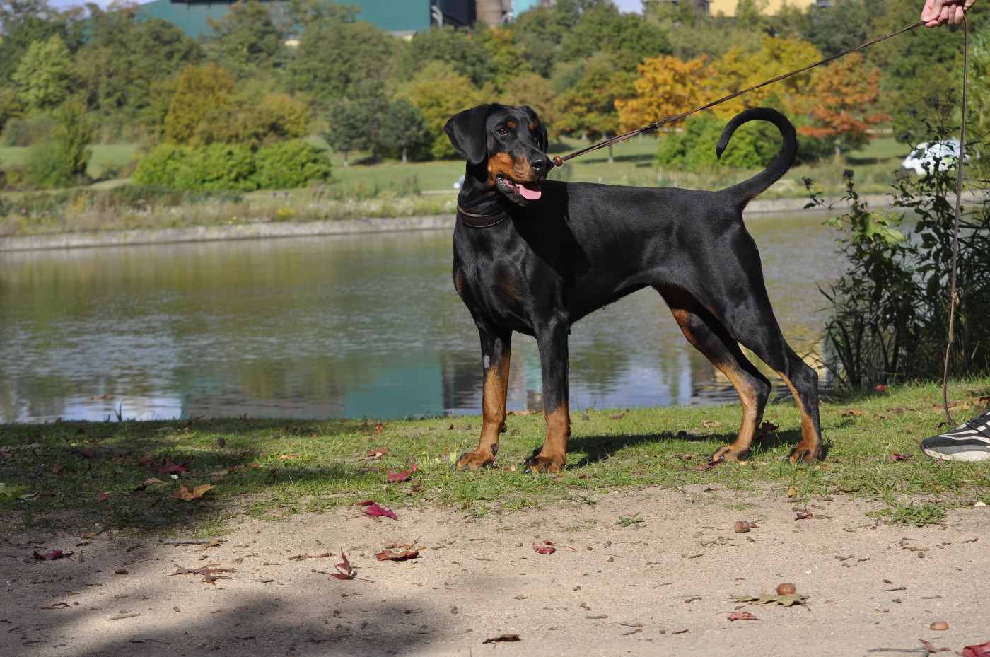 T'Kira capax infiniti