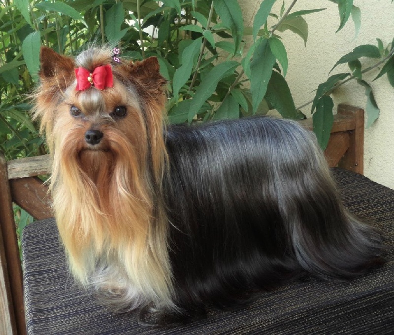 In blue Du puits des sortileges