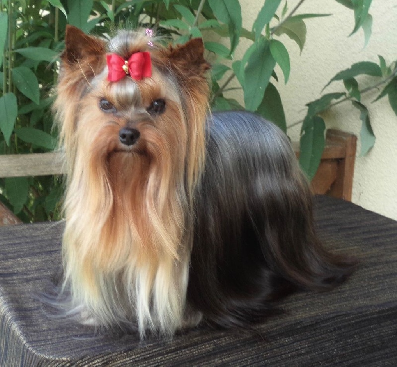 In blue Du puits des sortileges