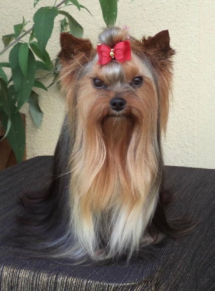 In blue Du puits des sortileges