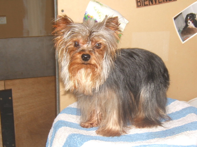 Publication : du clos de faurilles