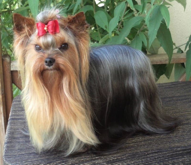 In blue Du puits des sortileges