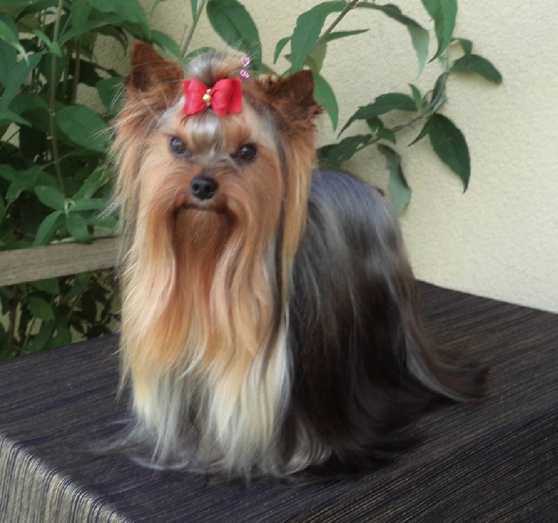 In blue Du puits des sortileges