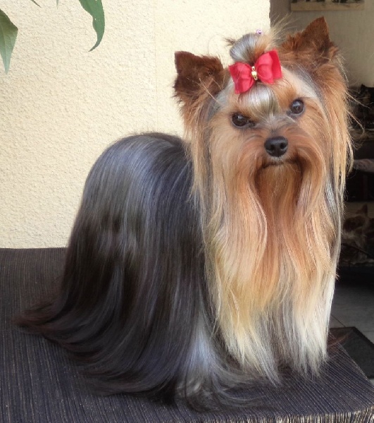 In blue Du puits des sortileges