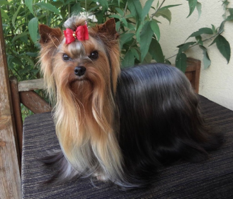 In blue Du puits des sortileges