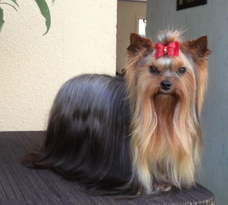 In blue Du puits des sortileges