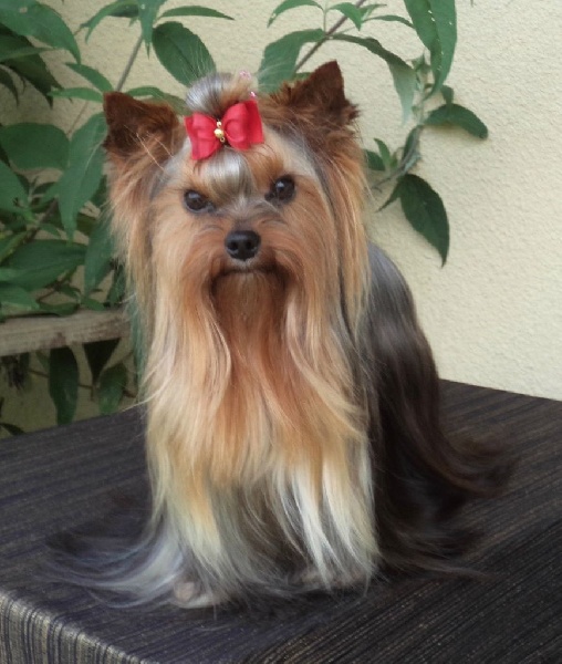 In blue Du puits des sortileges