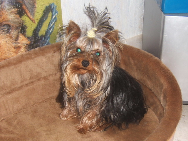 Publication : du clos de faurilles