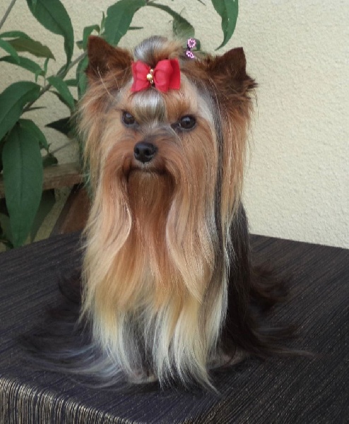 In blue Du puits des sortileges