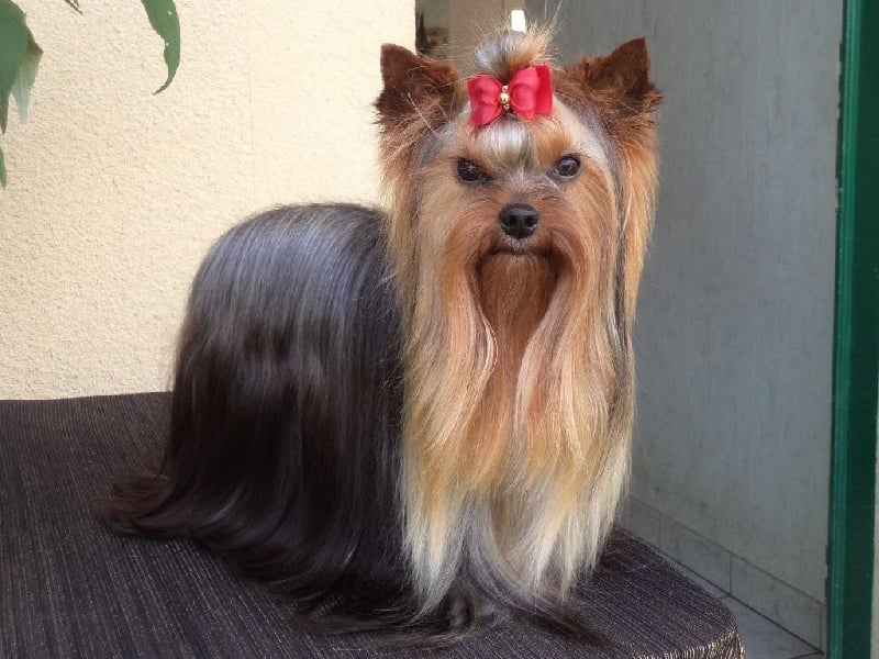 In blue Du puits des sortileges