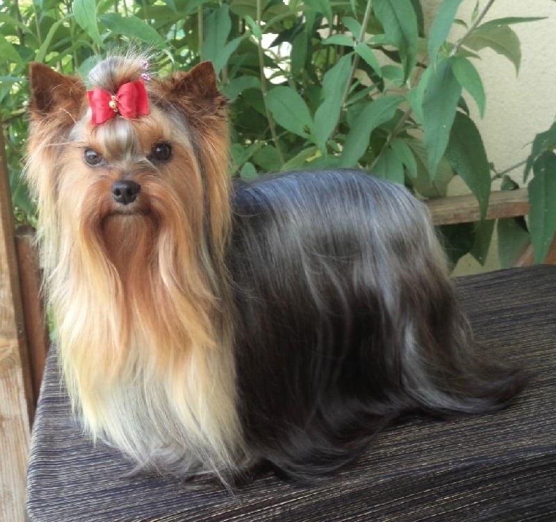 In blue Du puits des sortileges