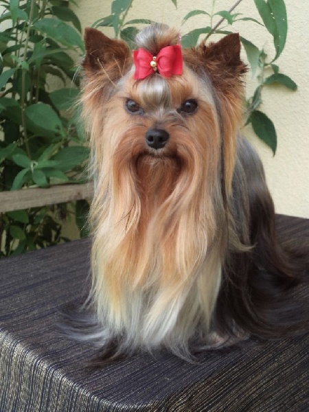 In blue Du puits des sortileges