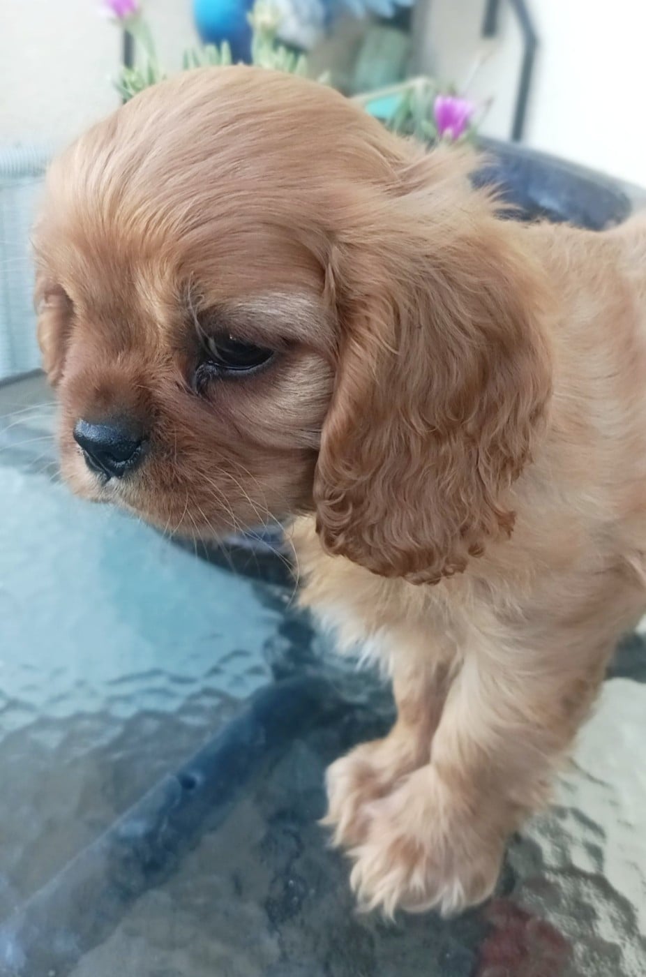 BANDIT