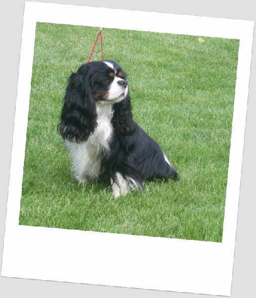 Edition one Du puits des sortileges - 3ème excellent