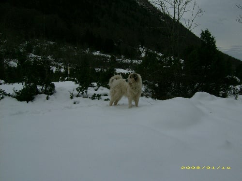 Publication : De la vallée du rioumajou