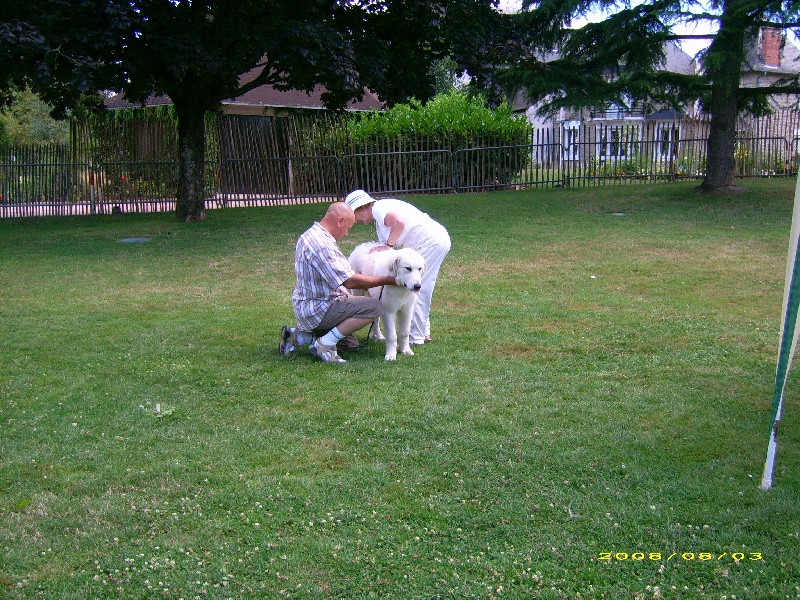 Publication : De la vallée du rioumajou