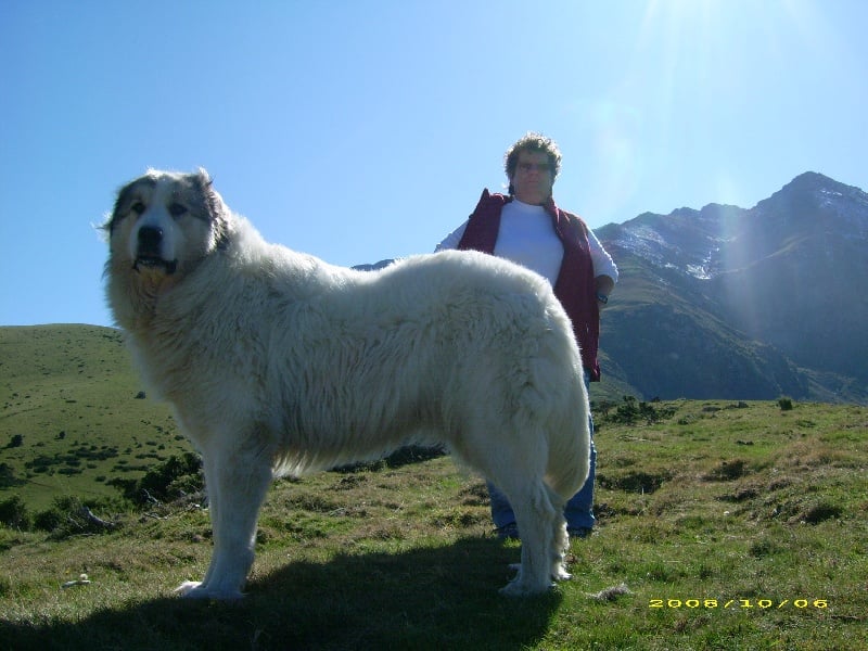 Publication : De la vallée du rioumajou
