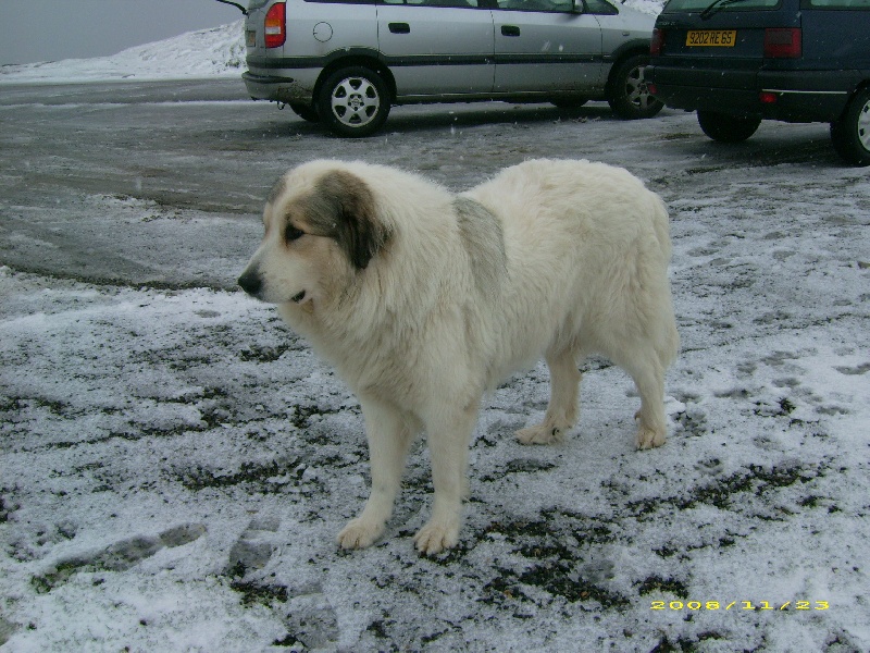 Publication : De la vallée du rioumajou