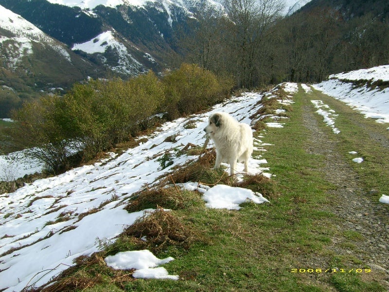 Publication : De la vallée du rioumajou