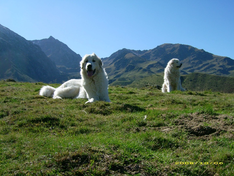 Publication : De la vallée du rioumajou