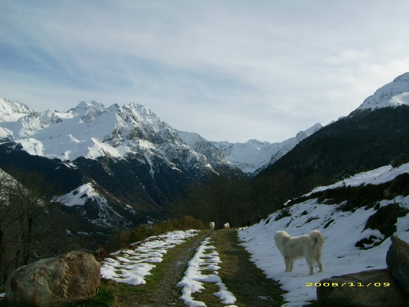 Publication : De la vallée du rioumajou