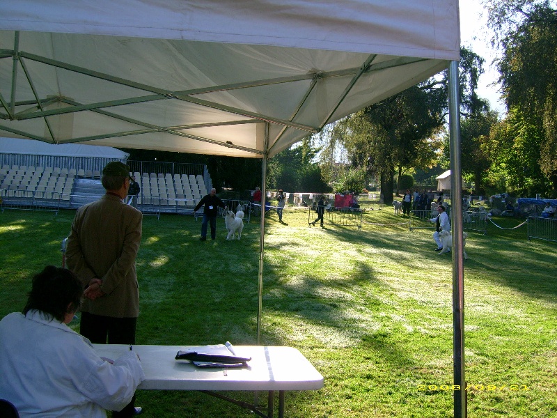 Publication : De la vallée du rioumajou