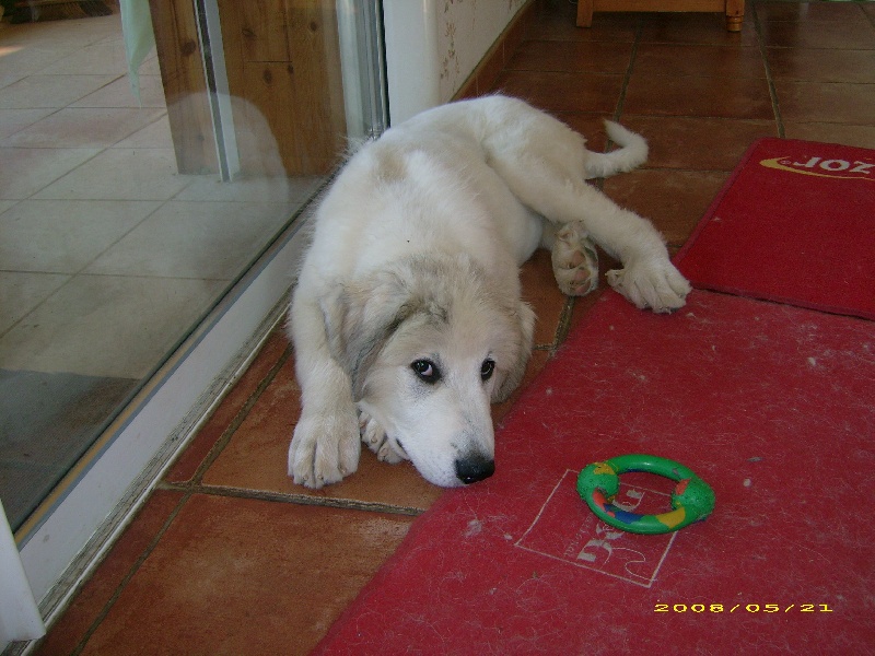 Publication : De la vallée du rioumajou