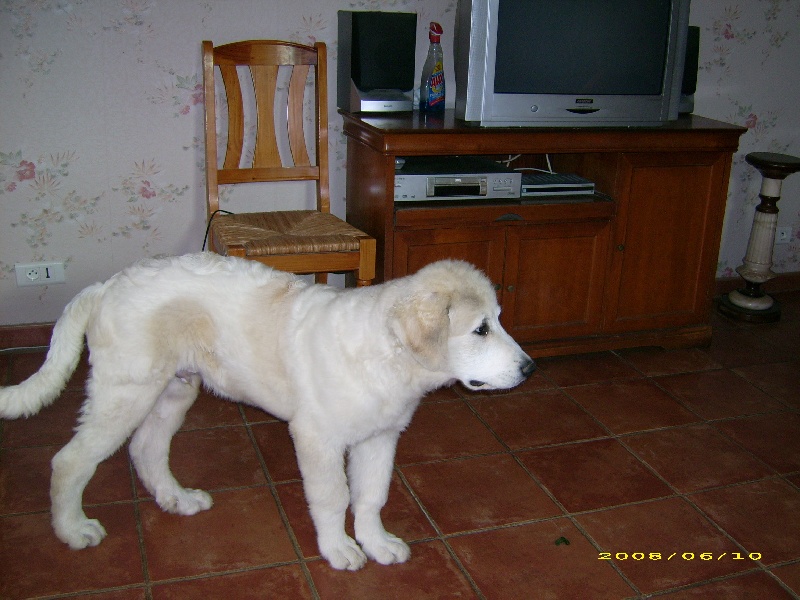 Publication : De la vallée du rioumajou