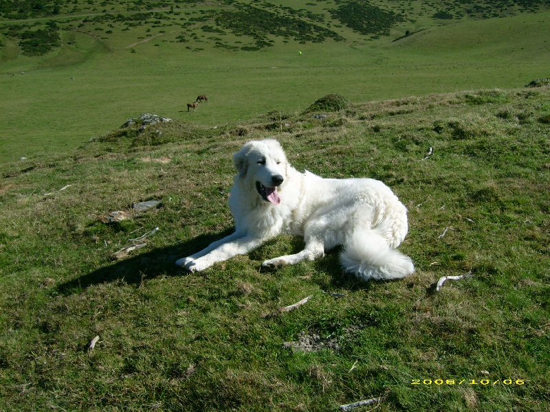 Publication : De la vallée du rioumajou