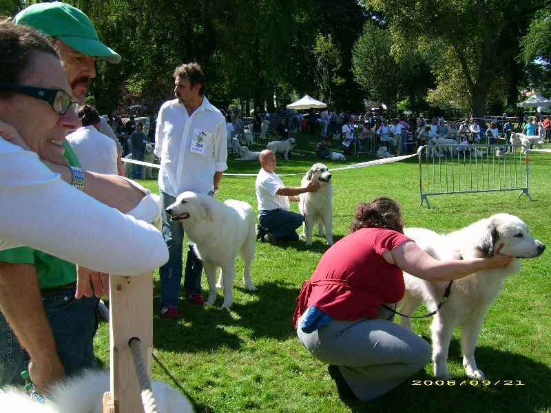 Publication : De la vallée du rioumajou