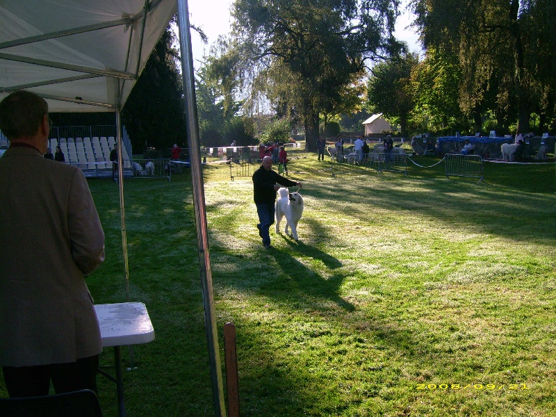 Publication : De la vallée du rioumajou