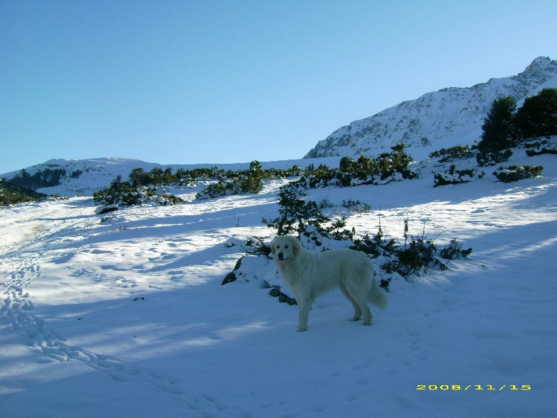 Publication : De la vallée du rioumajou