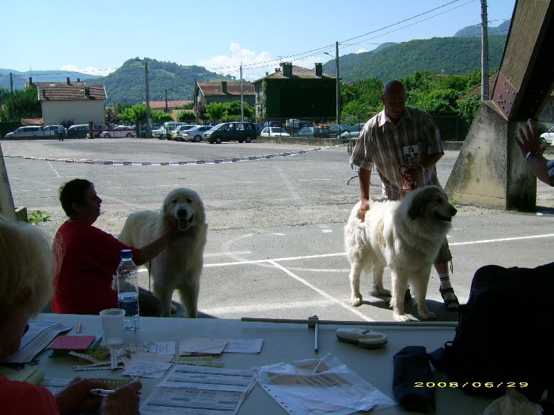 Publication : De la vallée du rioumajou