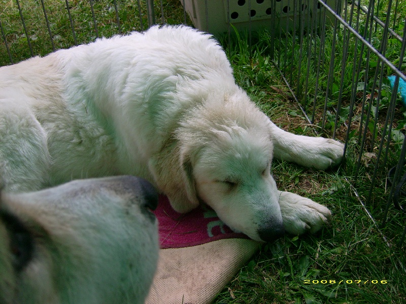 Publication : De la vallée du rioumajou