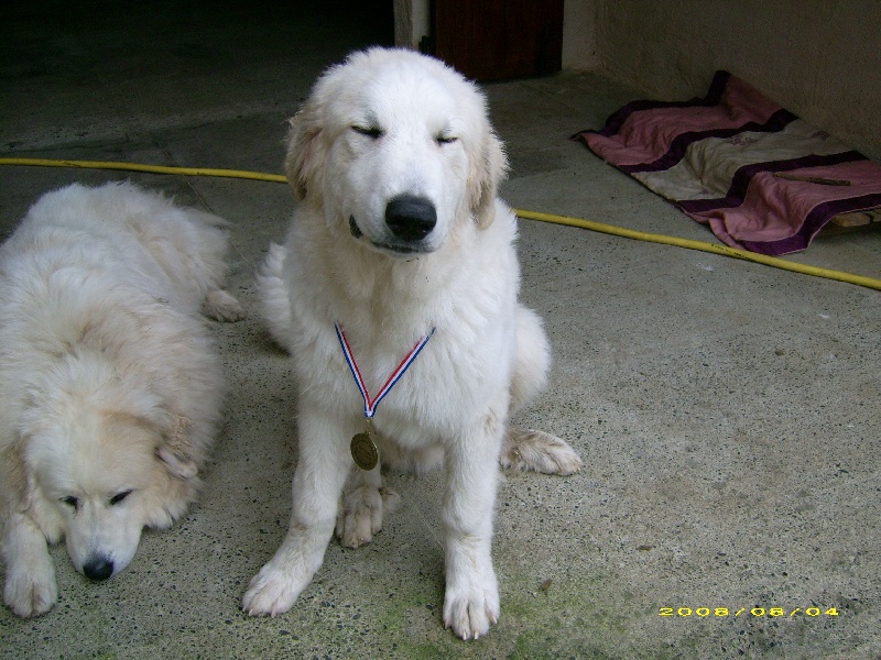 Publication : De la vallée du rioumajou