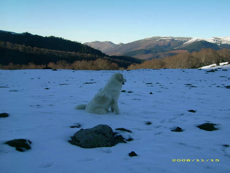 Publication : De la vallée du rioumajou