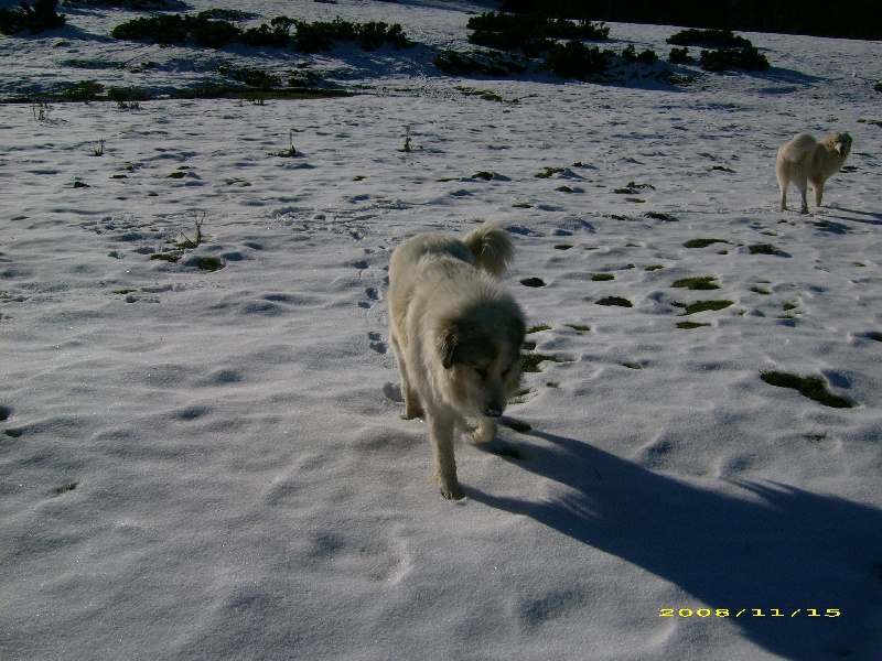 Publication : De la vallée du rioumajou