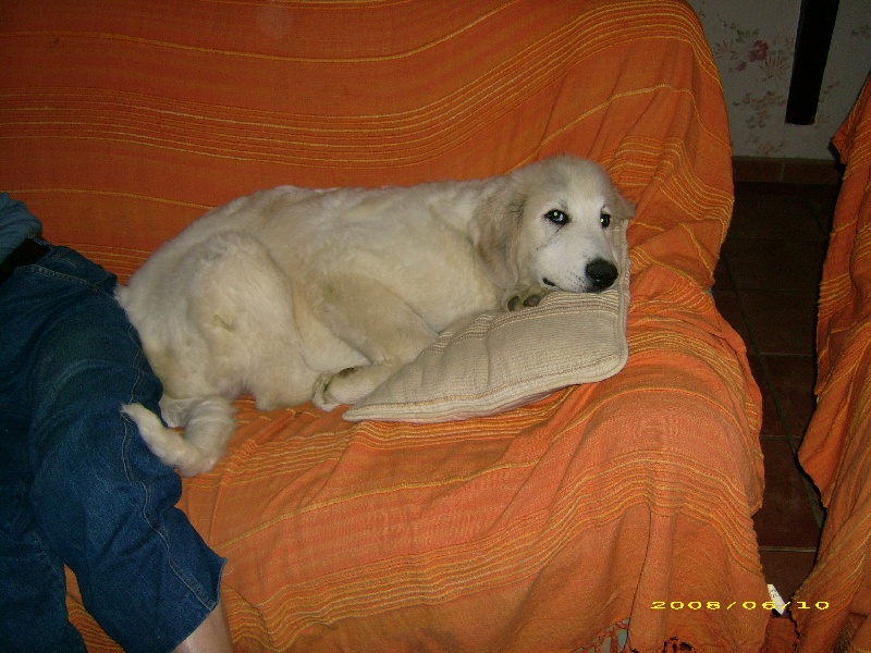 Publication : De la vallée du rioumajou