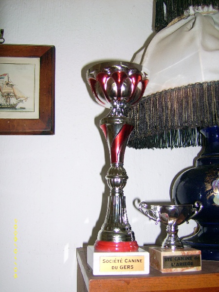 Publication : De la vallée du rioumajou