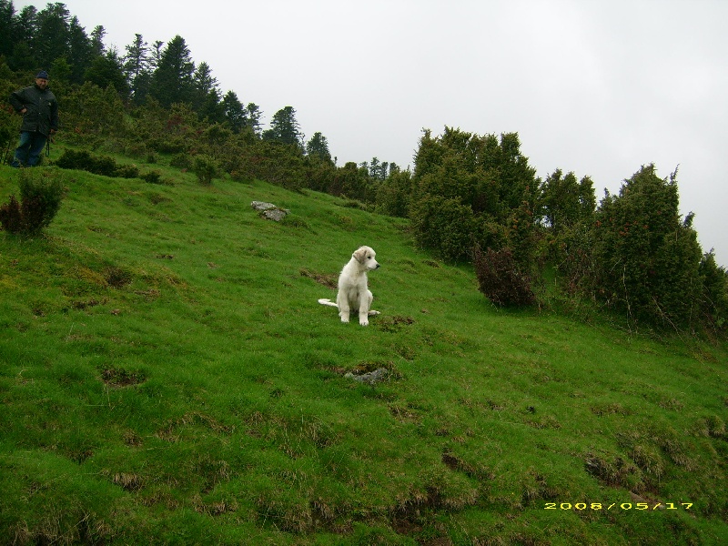 Publication : De la vallée du rioumajou