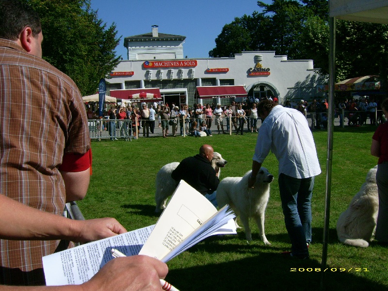 Publication : De la vallée du rioumajou