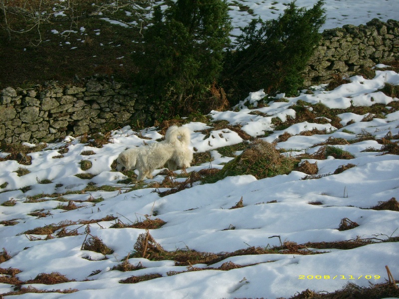 Publication : De la vallée du rioumajou